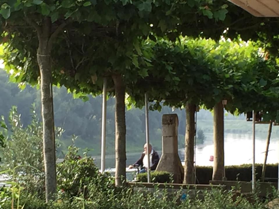 Maas Chalet Aldeneik Maaseik Kültér fotó